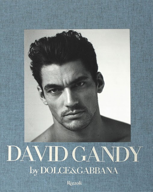  really understood the appeal of Dolce Gabbana house model David Gandy