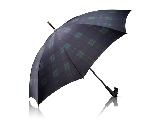 Aramis Great Scott Umbrella Low Res